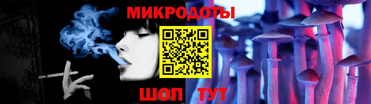 Малоярославец  Псилоцибиновые грибы Psilocybe  Вход с VPN 
